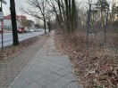 Foto: Nicht gereinigter Fahrradweg 